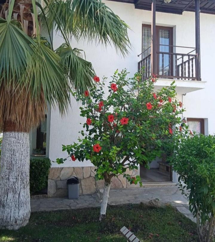 Nehir Dalyan Boutique Otel Ortaca  Extérieur photo